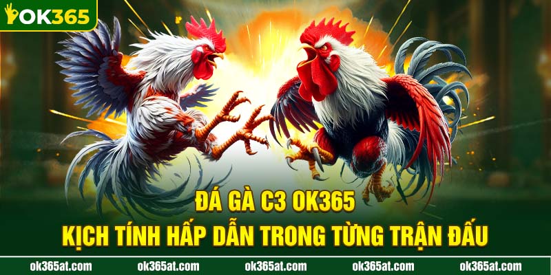 đá gà c3