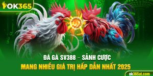 đá gà sv388
