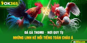 đá gà thomo
