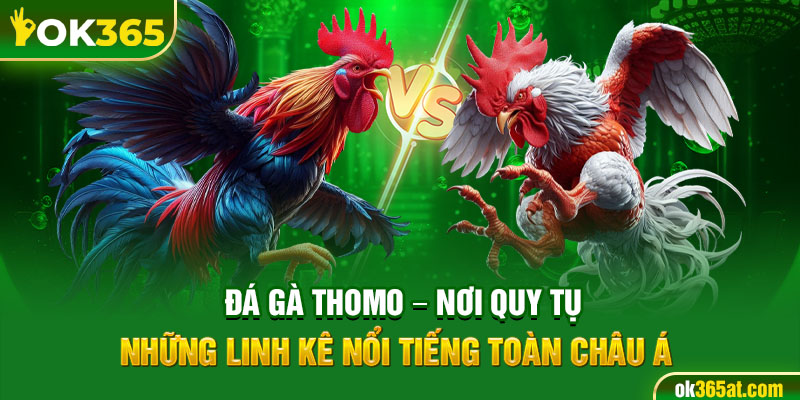 đá gà thomo